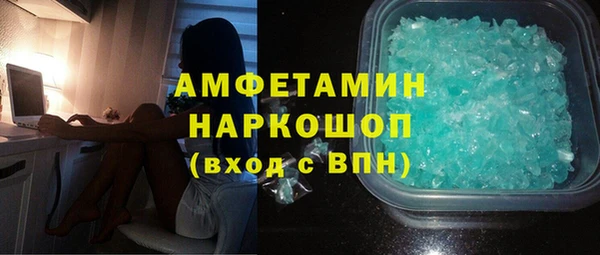 индика Горняк