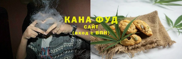 индика Горняк