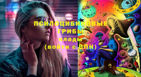 индика Горняк
