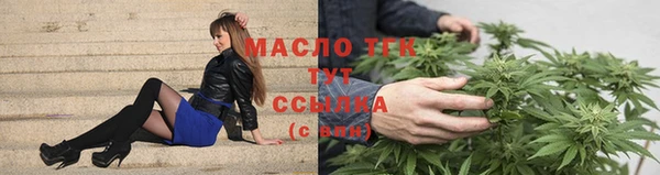 индика Горняк