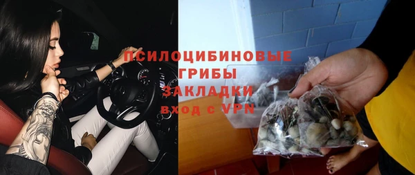 индика Горняк