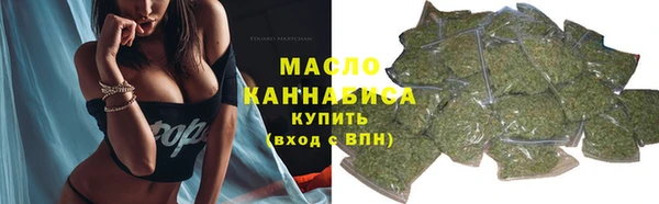 индика Горняк