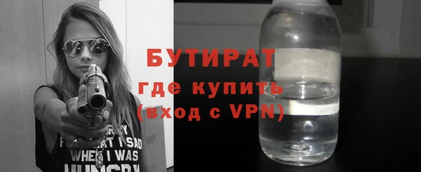 индика Горняк