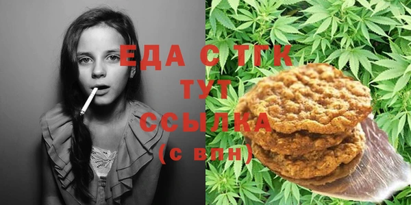 индика Горняк