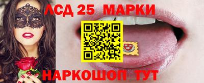 амф Заволжье