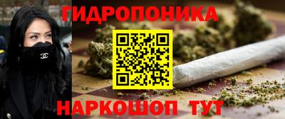 крисы Ирбит