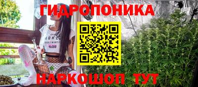 сатива Балахна