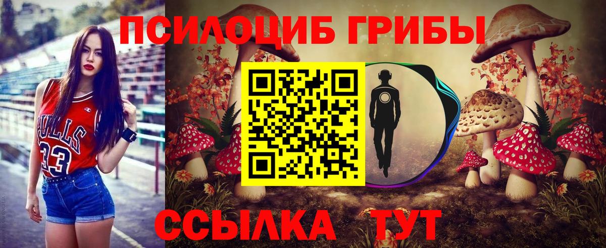 Галлюциногенные грибы Psilocybe  Вход с VPN  Мценск  Псилоцибиновые грибы Psilocybine cubensis 