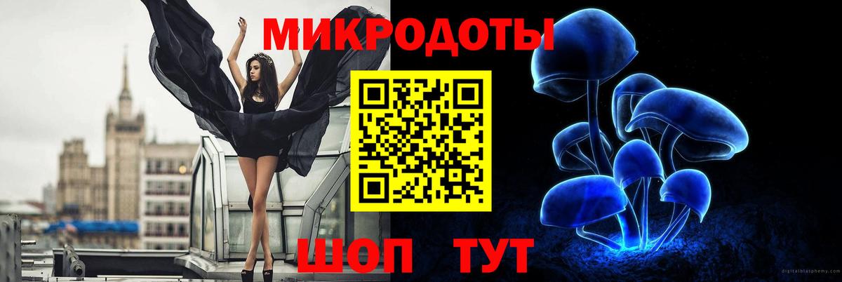 Псилоцибиновые грибы Psilocybe Мценск
